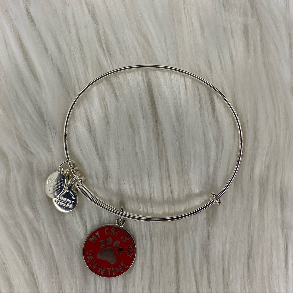 Alex and Ani Shiny Silver My Cat is My Valentine Charm Bangle Bracelet